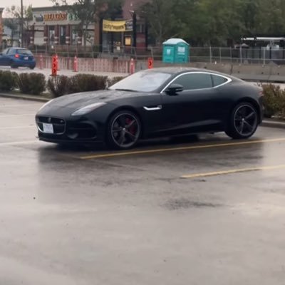 DONFIAZ's profile picture. International business. Live. Learn. Travel.