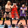 nasurinZZ's profile picture. プロレスラー那須晃太郎です。近鉄ファン→楽天ファン プロスピAやってます。バスフィッシング大好き。