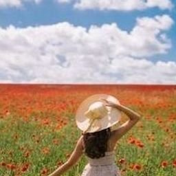 Ardwauerpel220's profile picture. 