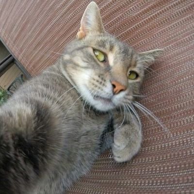 abhay_p4's profile picture. 