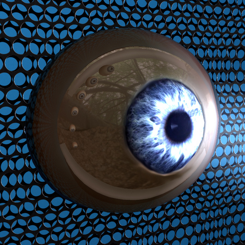 MographDaily's profile picture. 