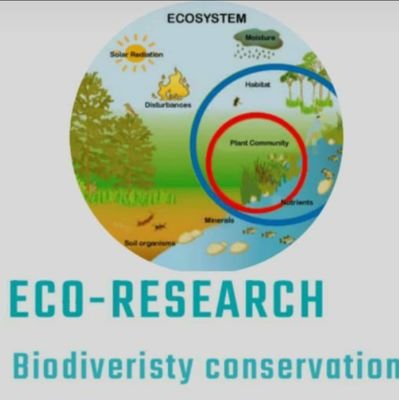 jean53014's profile picture. student in department of eco tourism and green space management and researcher on apis mellifera ,the head of eco research group, researching on honey bees