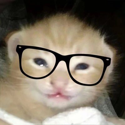 chenjiu6669's profile picture. 