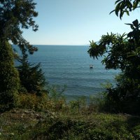 orçun (@orun66117380504) 's Twitter Profile