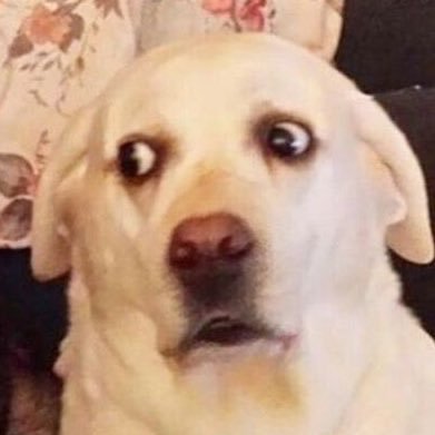 bk11Tae_'s profile picture. ติดซีรีส์ ติดฟิค ติดนิยาย | VIP | EXO-L | CR7 fan | 🇵🇹| #ChengLei 💕 |#PengXiaoran | #LuYuxiao | #ZhangLinghe