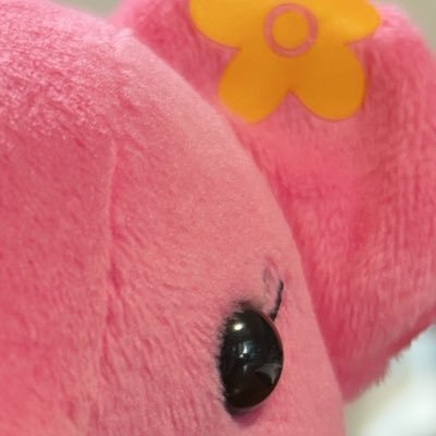 StiaTranqu79000's profile picture. 父特養、毒母サ高住、息子県外進学。独り親一人暮らしフリーランス。2025乳頭パジェット疑いで皮膚科→外科→病院。ルミナールa。7月左全摘。Que será seráガン保険には入ってなかった