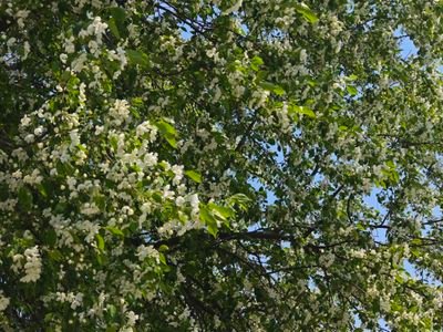 wngy175800's profile picture. 