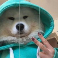 HAYWHYofW3B3🙂↔️ (@haywhy_03) 's Twitter Profile Photo HAYWHYofW3B3🙂↔️ (@haywhy_03) 's Twitter Profile Photo