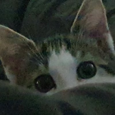 Adalanth's profile picture. 18
She/Her
Lover of women
Terf island resident (i hate it here)
Star wars fanatic
Average linux user (thigh highs and all)