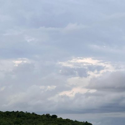 SanySun77's profile picture. 