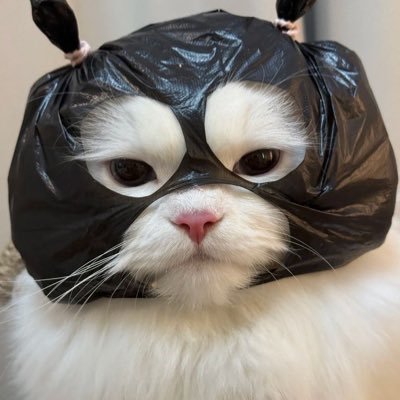 mylittlepo1808's profile picture. อยู่ทุกด้อม