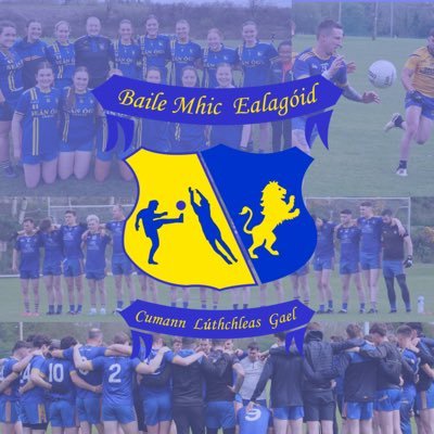 Ballymacelligott compete in the Kerry Div 1 SFL, Junior Premier Championship, St. Kieran's district and Tralee town board.