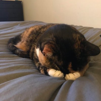 dimeh_i's profile picture. Présent