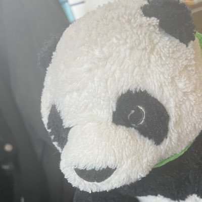 歯さんのプロフィール画像