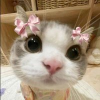 dell (@whydellptr) 's Twitter Profile