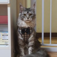 Amber RRR (@amberrrr1009) 's Twitter Profile