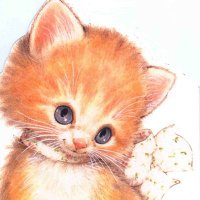 dochь vadá (@dochvada) 's Twitter Profile