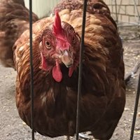 betsy π π (@curiousbetsy69) 's Twitter Profile