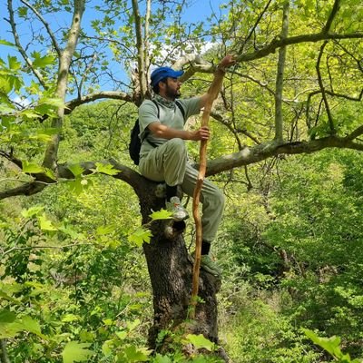 alisnkal's profile picture. I will walk where my own nature would be leading