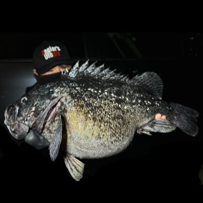 kawamura__000's profile picture. 【アピア】【ジャングルジム】【XBRAID】【O.S.P】