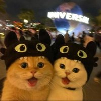 SenFaisal (@senfaisall) 's Twitter Profile