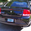 Stacey Seal - @1goomba1 - Twitter