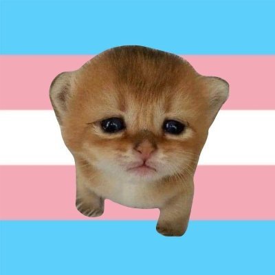 Cipsoooo's profile picture. 