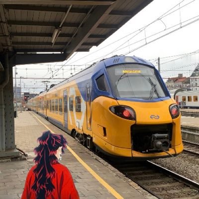railerdam's profile picture. Passionné des Transports en communs 🫠