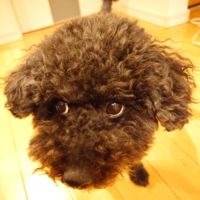 themoonback1204's profile picture. 2020年8月、Dynamiteで初めてBTSの曲を聴きファンに。ジンペンです。