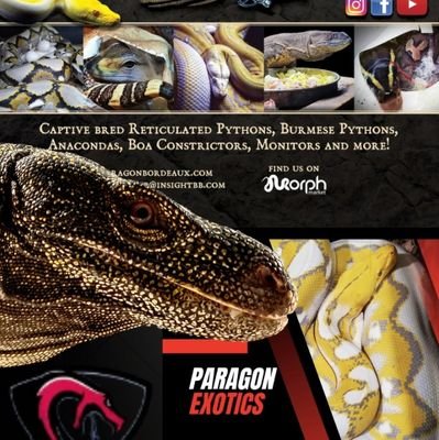 paragonexotics's profile picture. Just me