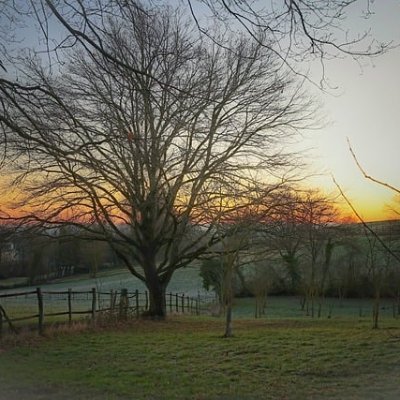 kpdnx48946349's profile picture. 