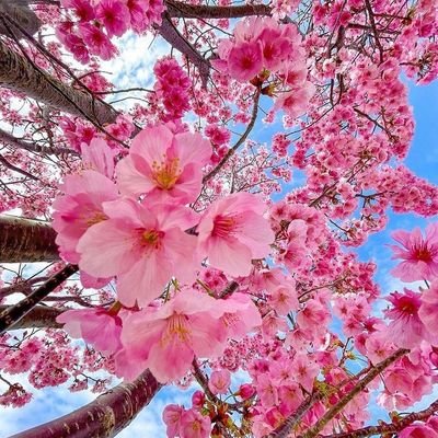 全力で心のこもった演技を見せてくれるパク・ボゴムを応援できることに感謝!韓国ドラマ。Xにあまり慣れていなくてごめんなさい、友達になりましょう 😔@BOGUMMY😅🇨🇦✨️🌸