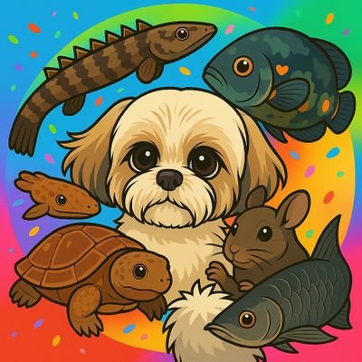 mystyle141's profile picture. 無言フォローごめんなさい🙏 楽しいが一番🤣 車🚗アクアリウム🐟🐢🐁ワンピース大好き😄大林軍団岐阜支部 Mystyle 元赤マジェ乗りBMW IRUKA CLUB 東海 盛り上げ隊長😙気軽にフォロー交流お願いします! バイナリー系は、ブロックです