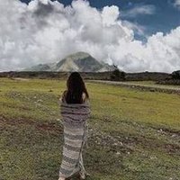 Qauma (@qauma3386) 's Twitter Profile