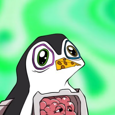 haitun123's profile picture. 专注链上套利