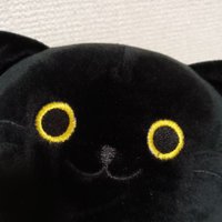 飯田いいよ🌸 (@iida_iiyo) 's Twitter Profile