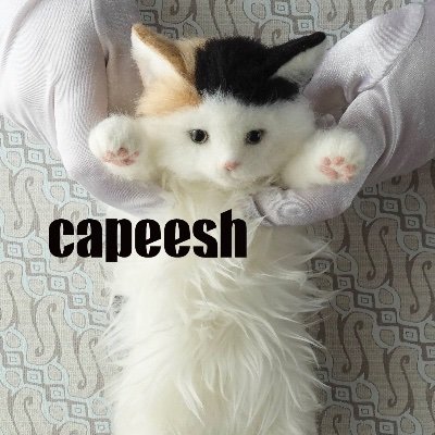 capeeshさんのプロフィール画像
