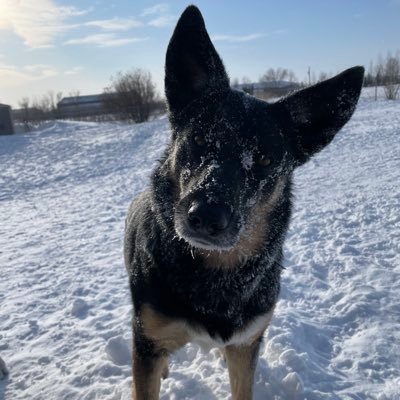 thiaya_'s profile picture. 