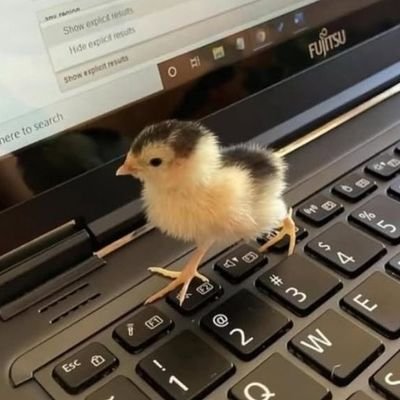 Spilka_aq's profile picture. Hi, i like rain world and drawing. and games.
bird