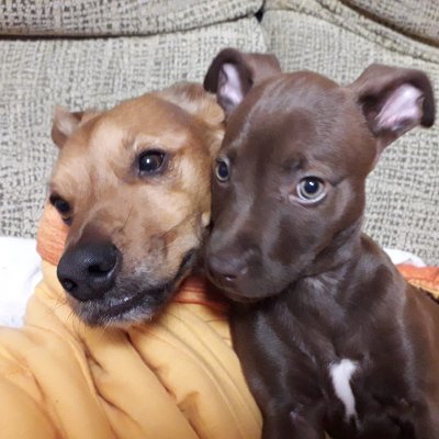 Mcp9876's profile picture. Ponga lo que ponga aquí, alguien se sentirá ofendido. xD