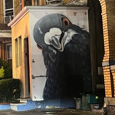 DiB1777's profile picture. 