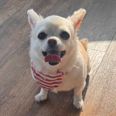 momo215212's profile picture. 好きな音楽と美味しいものがあれば結構幸せ♡ 🚙⚽️💐🧘‍♀️🌊🐶😸📕📽️🍽️ 🎸🥁🎧全て上手くいってる◡̈🍀 人知れず徳を積む🤫が🔑 感謝と幸せは連鎖☺️