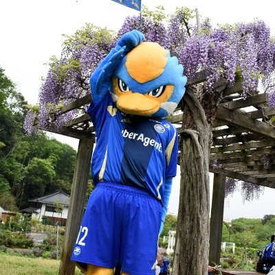 初めまして🙇。taichiより引き継ぎました町田生まれのハマっ子、ゼルビアサポ。ゼルビー&白崎軍団推し。ゼルビア以外に個人的には永戸勝也&マリノス君、マリノスケ、マリン推し❤。個サル大好きオヤジです😆。noteにてブログ不定期発信しますので、フォローヨロシク(^^)/です❕。カルチョ大好きです⚽❤❕。
