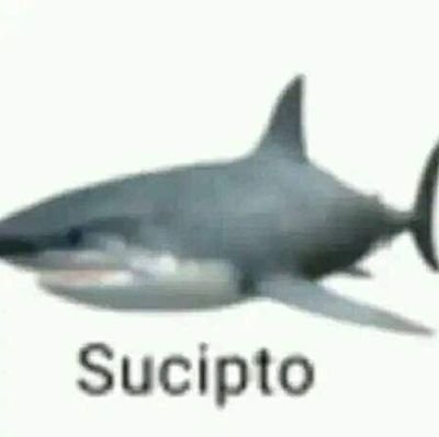 Chandraw455828's profile picture. Chandra C-nya WOILAH