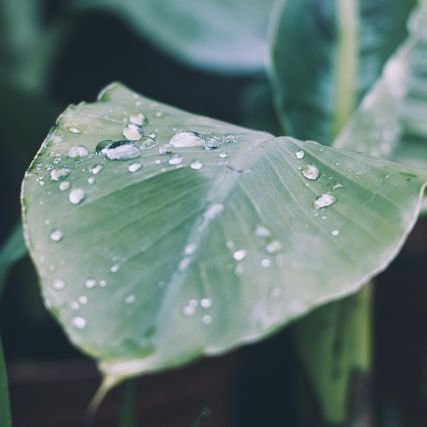 Hii I'm Arghya Malakar I like to Capture Photos Of Nature And Natural Environment! With Camera 📷