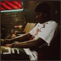 Polofacee (@polofacee) 's Twitter Profile Photo