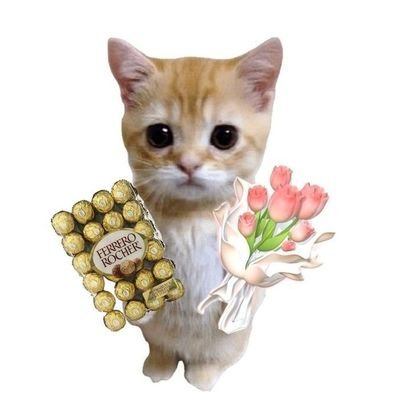 stressgirl____'s profile picture. kawasan terlarang