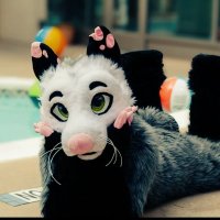 Stylo (@stylopossum) 's Twitter Profile