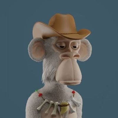 Dropwizard265's profile picture. Investing In the future, one rug at a time.