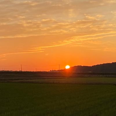 28ne_ko's profile picture. 空を見るのが大好き（特に夕日）   野菜作り       裸足歩き　皆さんの思いに触れたいです。